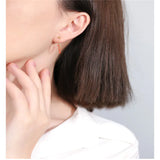 Liangshan South Red Agate Earrings Women's 14K Yellow Short Earrings Gift