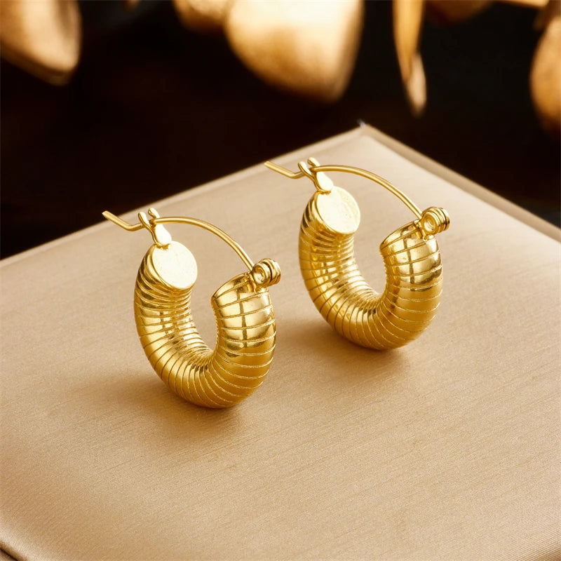 316L Stainless Steel Threaded Circles Hoop Earrings For Women Girls