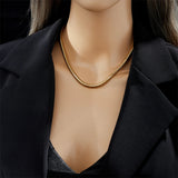 316L Stainless Steel Thick Snake Chain Necklace for Women
