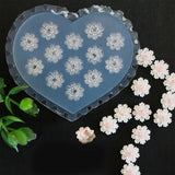 3D Silicone Nail Art Mold Kit Flower Resin Mold