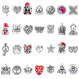 DIY Charm Bracelet Making Kit Jewelry Supplies with Pendant Charms Bracelets