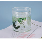 Crystal Epoxy Resin Mold Bottle Storage Jar With Lid Silicone Mold