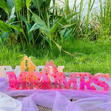 DIY Crystal Epoxy Resin Mold MR&MRS Wedding Props Bride And Groom