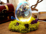 Crystal Silicone Egg Ball Dragon Mold Night Light Lamp Set Home Decoration Epoxy