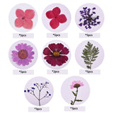 DIY Dried Flower Embossing UV Epoxy Resin Silicone Mold Fillings for Crafts