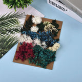 DIY Dried Flowers Embossed Epoxy Mold Fillings Nail Art Makeup Crafts