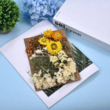 DIY Dried Flowers Embossed Epoxy Mold Fillings Nail Art Makeup Crafts