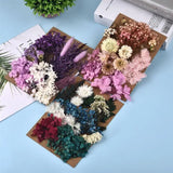 DIY Dried Flowers Embossed Epoxy Mold Fillings Nail Art Makeup Crafts