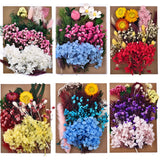 DIY Dried Flowers Embossed Epoxy Mold Fillings Nail Art Makeup Crafts