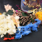 DIY Dried Flowers Resin Mold Fillings UV Epoxy Flower Nail Art