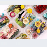 DIY Dried Flowers Resin Mold Fillings UV Epoxy Flower Nail Art