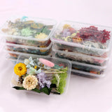 DIY Dried Flowers Resin Mold Fillings UV Epoxy Flower Nail Art