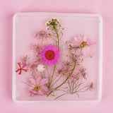 DIY Dried Flowers Resin Mold Fillings UV Epoxy Flower Home Decor