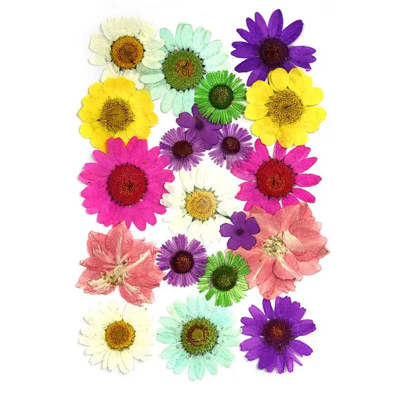 DIY Dried Flowers Resin Mold Fillings UV Epoxy Flower Home Decor