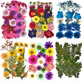 DIY Dried Flowers Resin Mold Fillings UV Epoxy Flower Home Decor