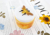 DIY Epoxy Resin Mold Bee Honey Jar Jewelry Mold Box
