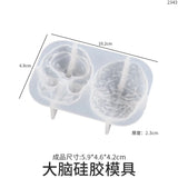 Epoxy Resin Organs Silicone Mold for Jewelry Making