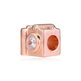 925 Silver Rose Snapshots Beads Jewelry for Europe Charms Bracelets
