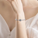 Europe Charms Bracelet Path Beads with CZ 925 Sterling Silver Jewelry