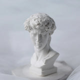 DIY David Silicone Mold Resin Portrait Painting Mold