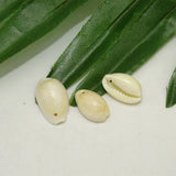 DIY Jewelry Conch Pendants Small Sea Snail Conch Natural Shell Bead