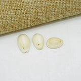 DIY Jewelry Conch Pendants Small Sea Snail Conch Natural Shell Bead