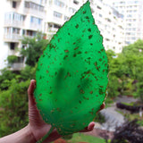 Leaf Tray Coaster Resin Mold Mirror Leaf Coaster Silicone Mold
