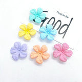 DIY Resin Flower Hair Clip Set - 6pcs