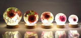 Silicone Epoxy Resin Mold Ball Dried Flower Jewelry Moulds