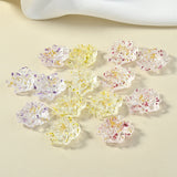 DIY South Korea INS Spring Transparent Stereo Flower Real Flowers Resin Earrings