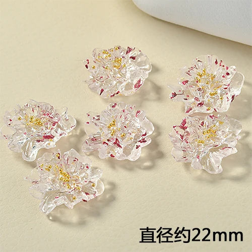 DIY South Korea INS Spring Transparent Stereo Flower Real Flowers Resin Earrings