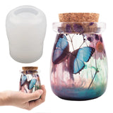 DIY Storage Bottle Crystal Epoxy Resin Mold Jar Bottle Mirror Silicone Mold