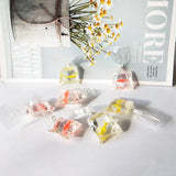 Transparent Resin Fish Water Bag Earrings Pendant DIY Jewelry Accessories