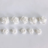 Acrylic Rose Earrings - DIY Jewelry Accessory