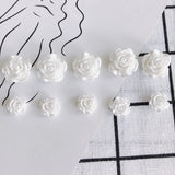 Acrylic Rose Earrings - DIY Jewelry Accessory