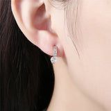 925 Silver Zircon Diamond Earrings for Women Wedding Party