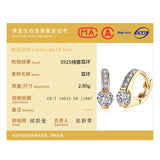 925 Silver Zircon Diamond Earrings for Women Wedding Party