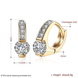 925 Silver Zircon Diamond Earrings for Women Wedding Party