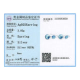 925 Silver Double Crystal Earrings Wedding Jewelry Gift
