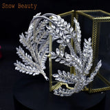 Crystal Queen Headdresses Wedding Tiara Headband