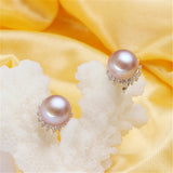 925 Silver Flower Zircon Earrings with Pearl Studs