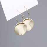 925 Silver Geometric Huggie Hoop Earrings for Women Girls