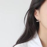 925 Sterling Silver Dangle Earrings for Women