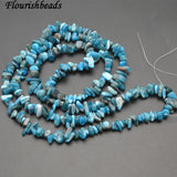 Natural Apatite Stone Chips Loose Beads - 5 Strands