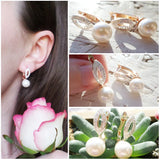 Rose Rhinestone Crown Stud Earrings for Women DGE150