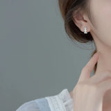 925 Sterling Silver Small Hoop Earrings with Clear Cubic Zirconia