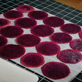 Silicone Dehydrator Sheets, 10 Pcs 29X37cm, Fruit Dehydrator Mats