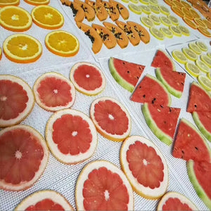 Silicone Dehydrator Sheets, 10 Pcs 29X37cm, Fruit Dehydrator Mats