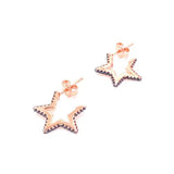 CZ Zircon Crystal 925 Silver Earrings Rose Studs