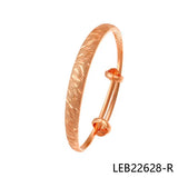 Nice Earring Studs for Women LEB22628